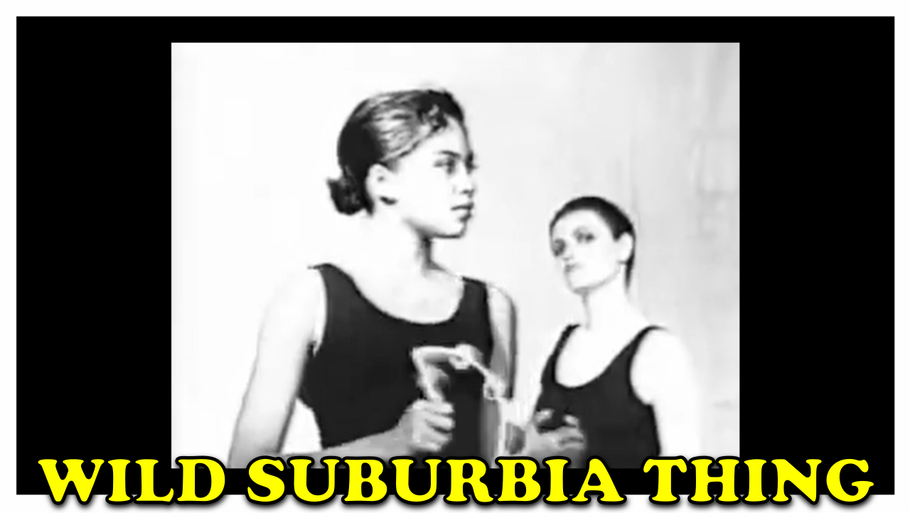 Tone Loc - Wild Thing<br />
Pet Shop Boys - Suburbia